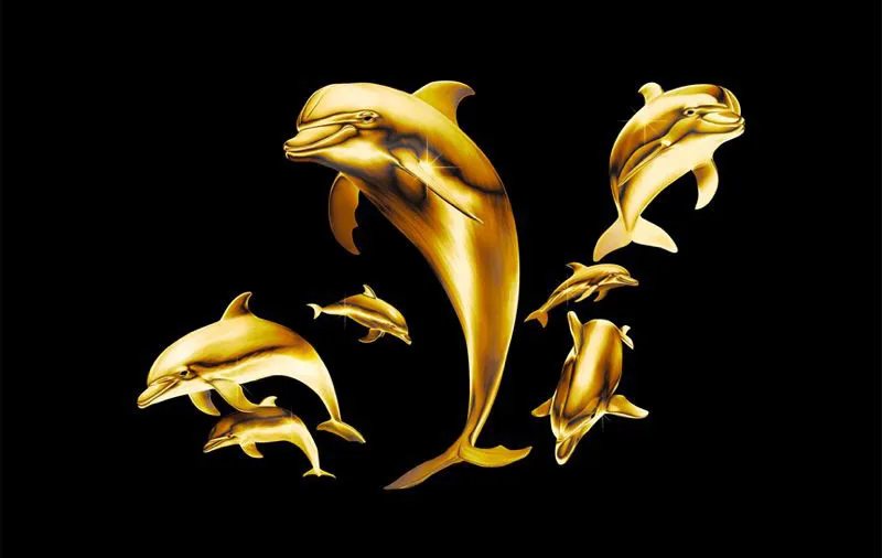 golfinhos-ouro