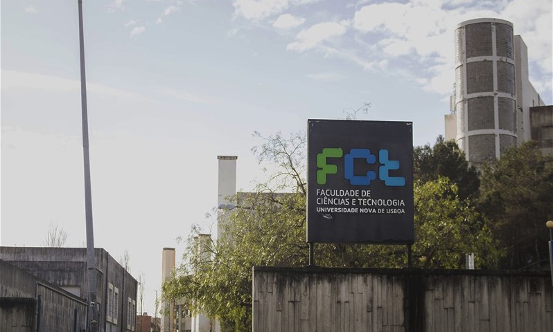 fct-bruno