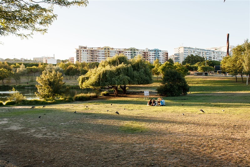 parque-paz-bruno