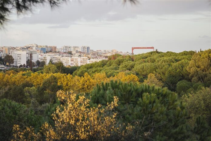 almada-paisagem