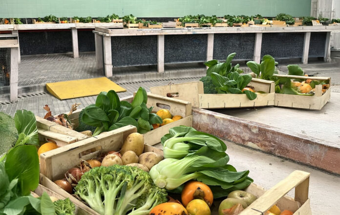 fruta-feia-torcatas