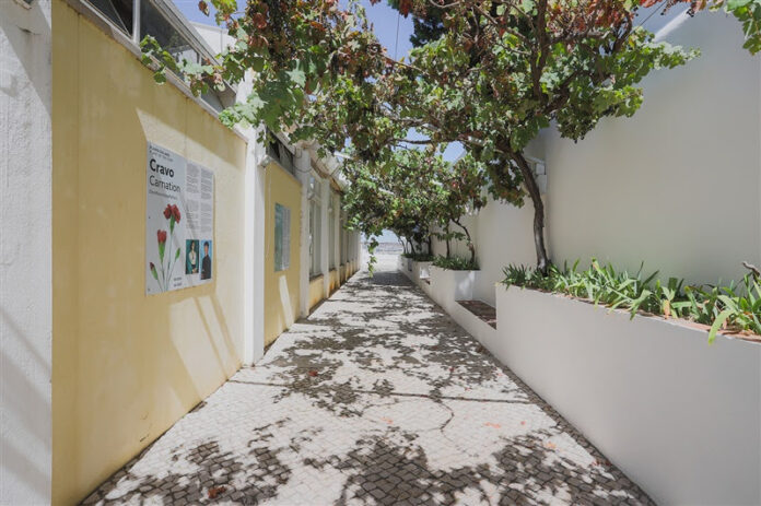 casa-cerca-bruno