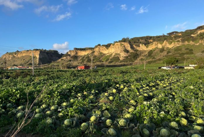 terras-agricultura