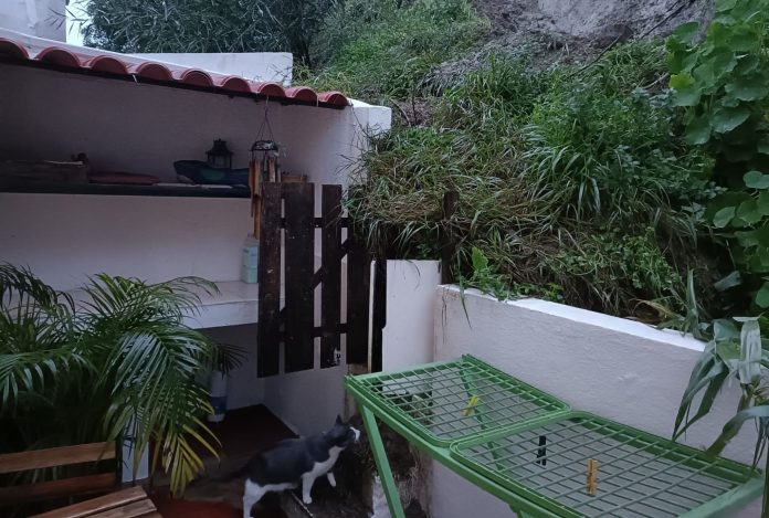 quintal-arriba